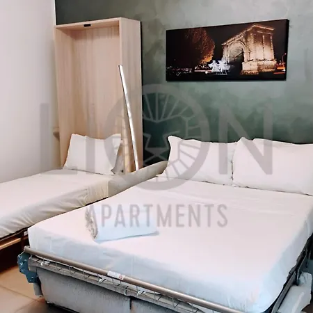 Le Lion - Lys Family