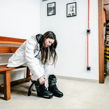 Le Lion - Lys Family * أَويستا