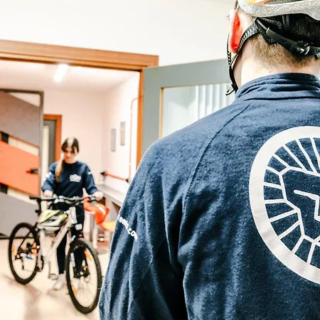 Le Lion - Lys Family * Aosta