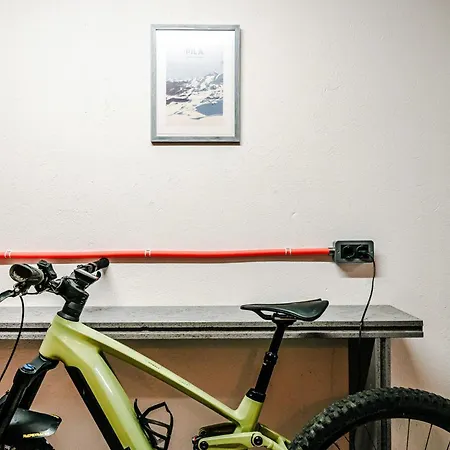 Le Lion - Lys Family *