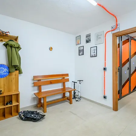 Le Lion - Lys Family